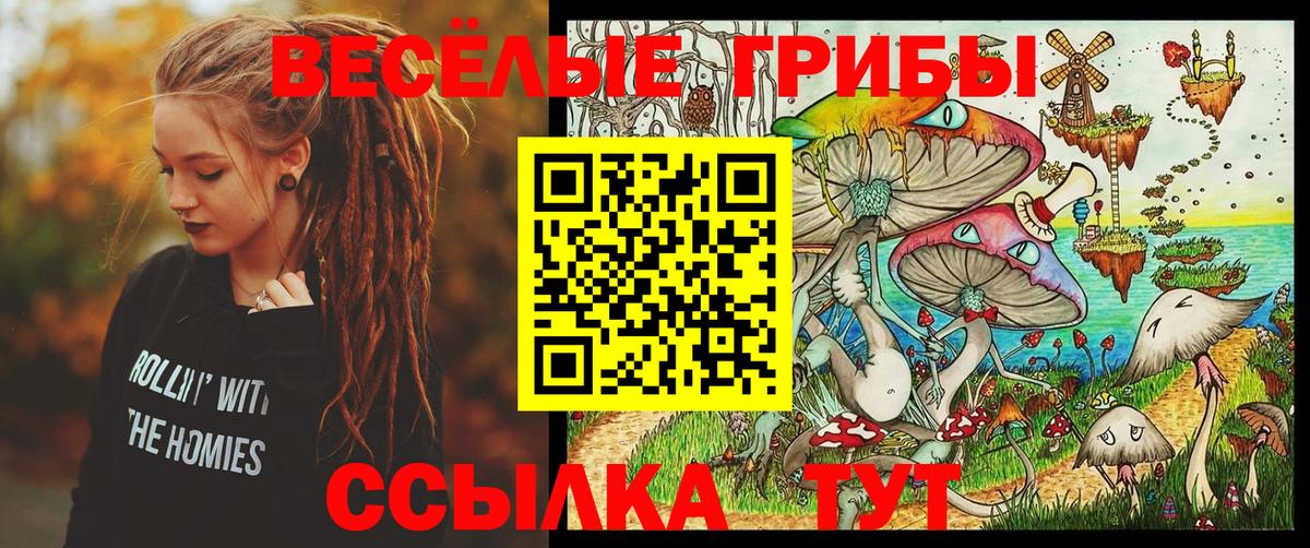 Галлюциногенные грибы Magic Shrooms  Галлюциногенные грибы Cubensis  Вход с VPN  Буйнакск 